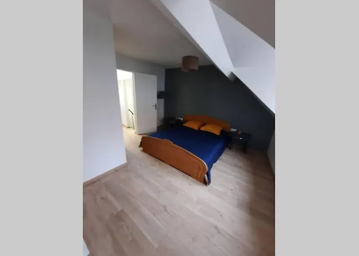 Ideal Vieille De La Boulonnaise ! *