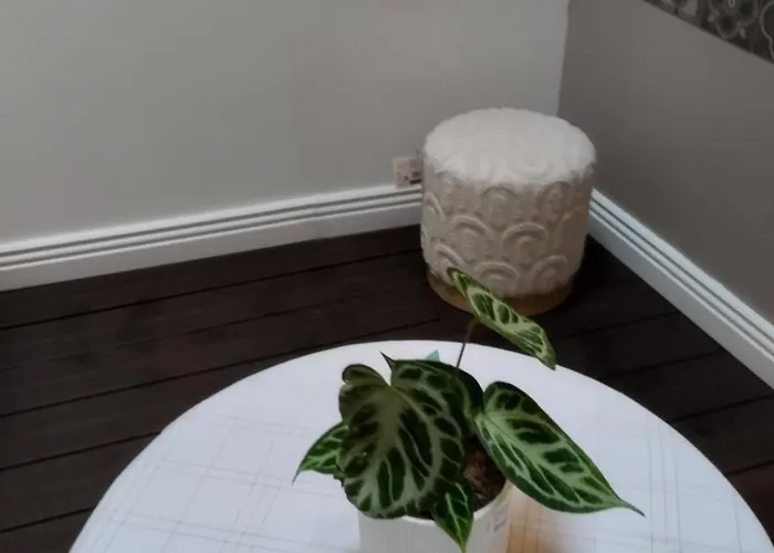 Vakantiehuis Ideal Vieille De La Boulonnaise !