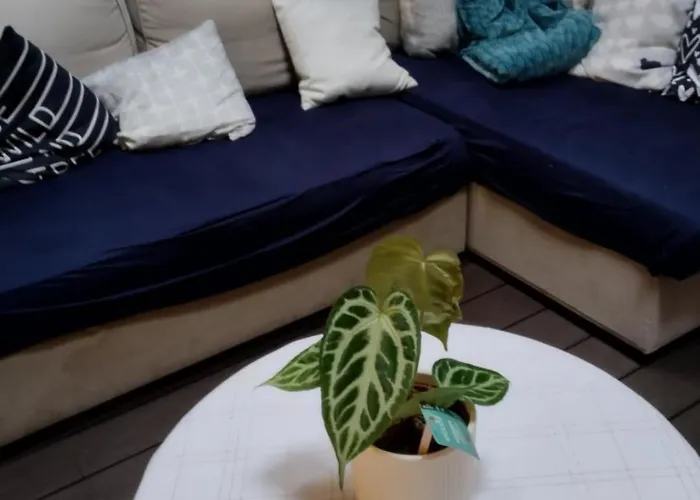 Ideal Vieille De La Boulonnaise ! Vakantiehuis