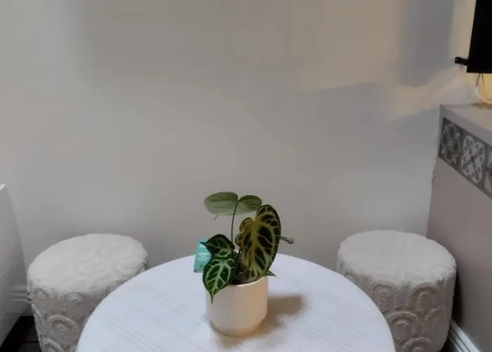 Vakantiehuis Ideal Vieille De La Boulonnaise !